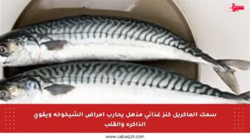 سمك الماكريل كنز غذائي مذهل يحارب أمراض الشيخوخة ويقوي الذاكرة والقلب